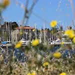 Urban Pula